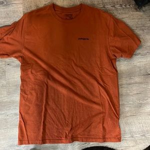 Patagonia tee shirt